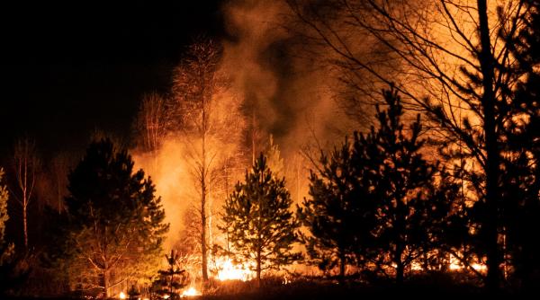 Incendiu devastator în Cipru. Patru morți. Toți, muncitori egipteni VIDEO