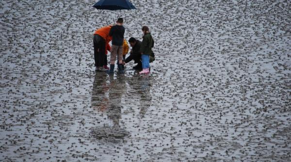 Prognoză pentru următoarele două săptămâni. Nu va fi un iulie obișnuit