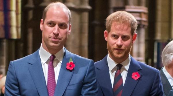 Palatul Buckingham a cenzurat documentarul despre Harry și William