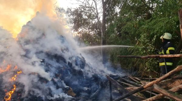 Incendii de vegetație în acest județ. Pompierii au intervenit pentru a stinge 11 focare