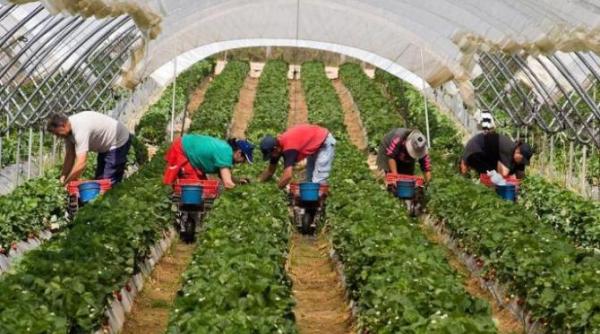 Vechimea în muncă. Care sunt reglementările pentru zilieri