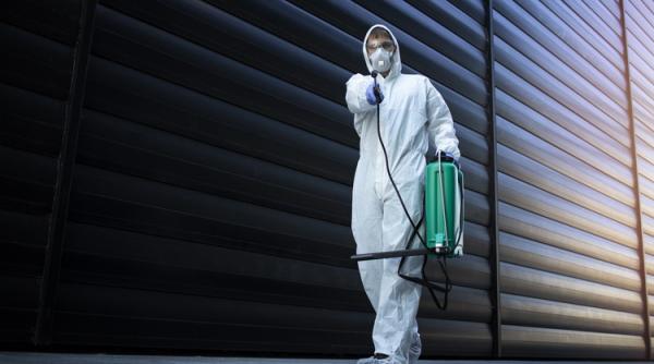 Cum scapi de acești gândaci. Soluții simple, fără otrăvuri toxice