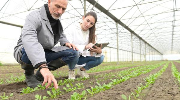Sprijin pentru agricultura în SERĂ. Cât timp mai au producătorii
