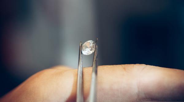 ACESTA este CEL MAI MIC hoț de DIAMANTE din lume VIDEO