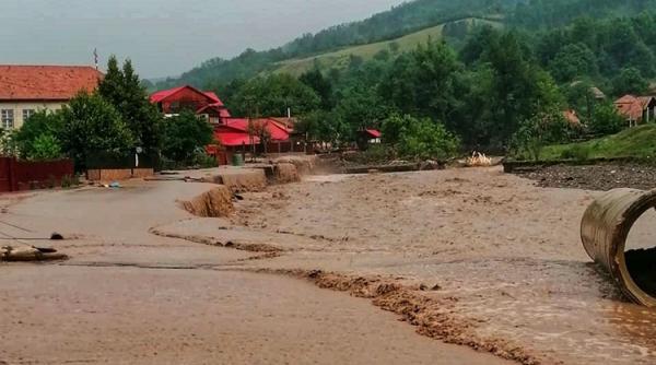 Județul Alba, măturat de vijelii și ploi torențiale VIDEO
