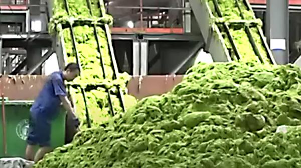 China. În portul Qingdao așa ceva nu a mai fost NICIODATĂ VIDEO