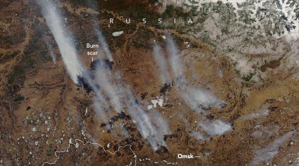 DEZASTRU ECOLOGIC în Siberia. 'Doar ploaia va putea stinge incendiile de vegetaţie'