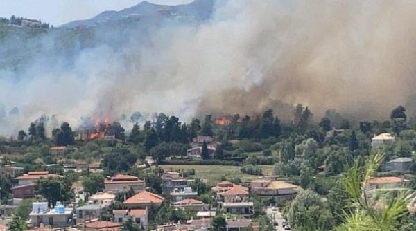 Un apicultor ar fi vinovat pentru incendiul de lângă Atena