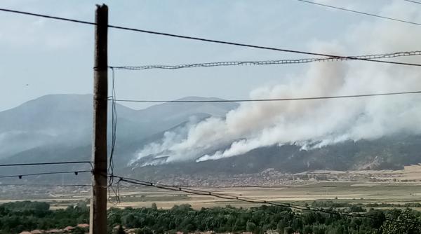 Bulgaria, confruntată cu incendii majore din cauza caniculei