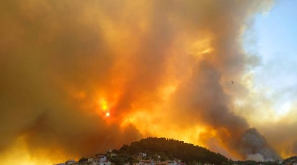 Imagini de APOCALIPSĂ pe insula Evia. Incendiile înfulecă păduri și case VIDEO