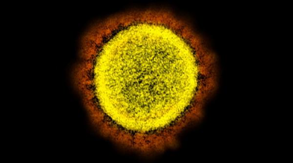 Un medicament împotriva teniei ar putea trata COVID-19