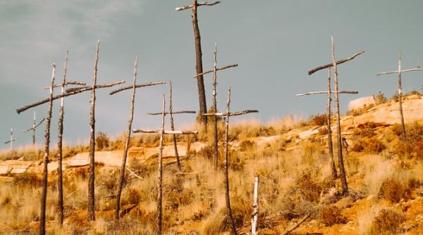 Bilanț mondial: 4,2 milioane de decese de la începutul pandemiei