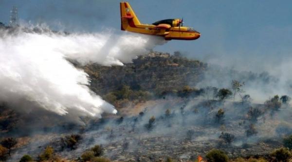 Incendii Grecia. Peste 56.000 de hectare s-au transformat în scrum
