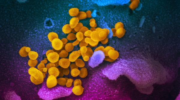 COVID-19, asemănări izbitoare cu gripa rusească. Ce înseamnă acest lucru