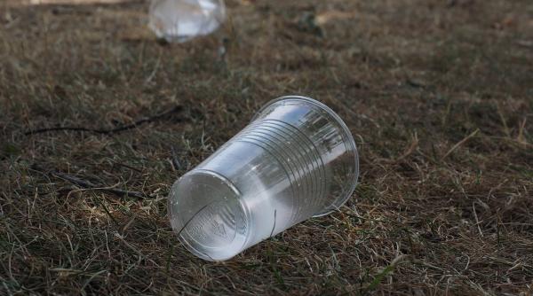 Paharele, farfuriile şi furculiţele din plastic de unică folosinţă vor fi interzise în România