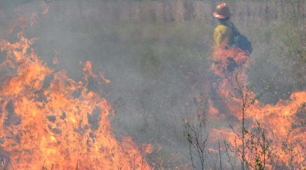 Anticiclonul Lucifer a adus temperaturi istorice pentru Europa