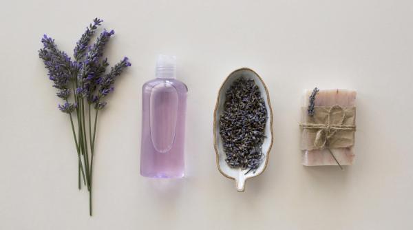 Idei de afaceri cu lavanda. De la ulei, la săpun, tincturi sau sirop
