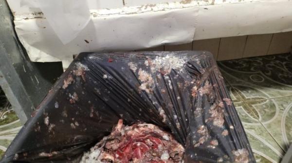 Restaurantele groazei de pe litoral. Mâncare exiprată de 7 ani. Ce au mai descoperit inspectorii