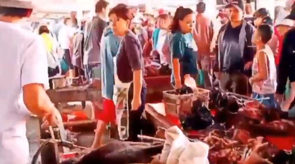 COVID-19. 11 cercetători de renume cer anchetă în China