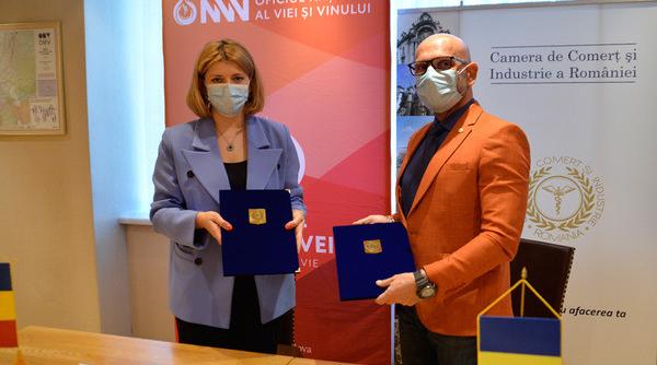 Memorandum de colaborare între CCIR și Oficiul Național al Viei și Vinului din Republica Moldova. Oenoturismul reînvie turismul    