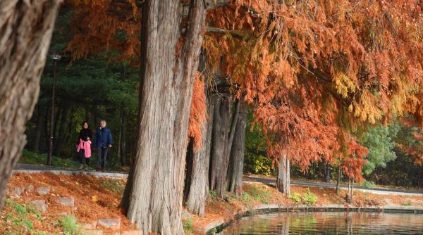 Prognoza meteo 13 – 26 septembrie. Vreme caldă la începutul intervalului, dar spre finalul lunii se răceşte
