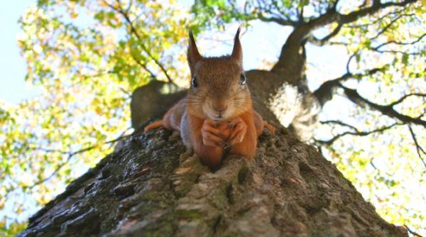 Progonoza meteo până pe 26 septembrie. Se anunță o toamnă blândă