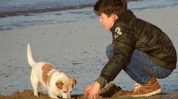 Vacanță la mare. Amenzi usturătoare şi reguli noi pentru acești turişti