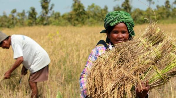 Predicțiile Băncii Mondiale privind migrația climatică: Vor fi aproape un sfert de miliard