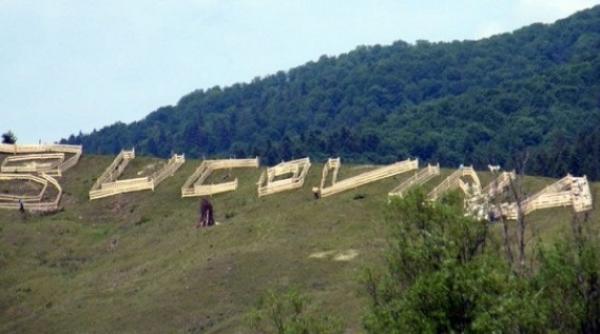 Mafia lemnului din Suceava. Trei persoane, bătute cu sălbăticie în timp ce filmau un documentar despre defrișări