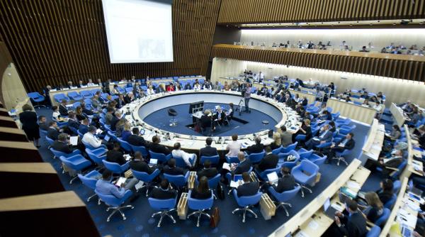 OMS avertizează asupra unei ESCROCHERII MONDIALE