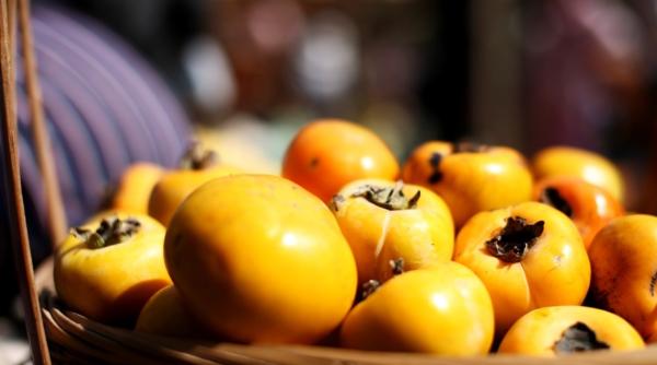 De la curmale dobrogene la banane. Care sunt noile soiuri exotice ale României. Expoziția USAMV București