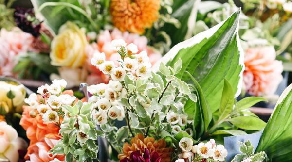 Florile care-ți schimbă viața! NU trebuie să lipsească din casă 