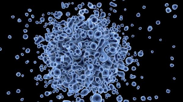 Japonezii au descoperit un VIRUS nou și o infecție NECUNOSCUTĂ