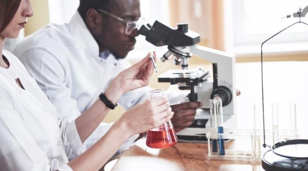 Google va investi un miliard în Africa. Compania Moderna va construi și ea o fabrică pe continentul african