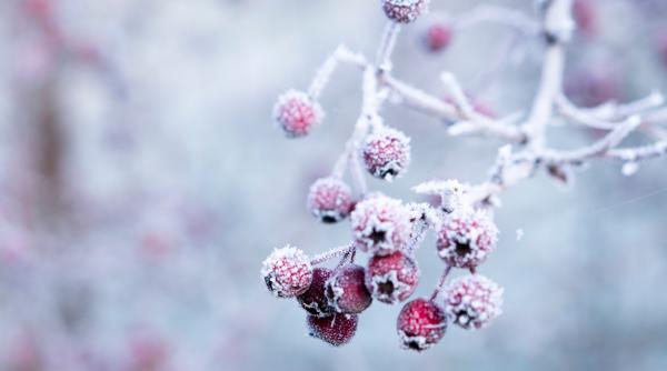 Avertizare meteo. Cod portocaliu de ploi torențiale și vânt puternic