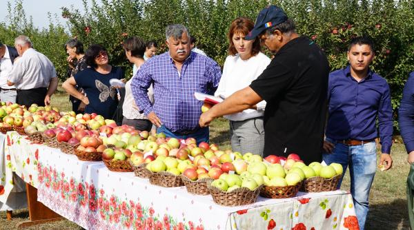 Mere la doar 1 leu/kg direct de la cercetătorii în pomicultură