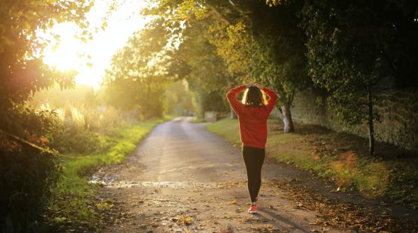 În ce moment al zilei sistemul imunitar funcționează la maximum