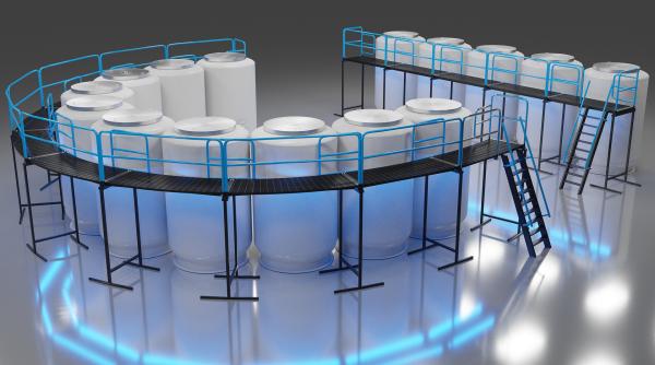 Oamenii ar putea trăi la nesfârșit. Află CUM