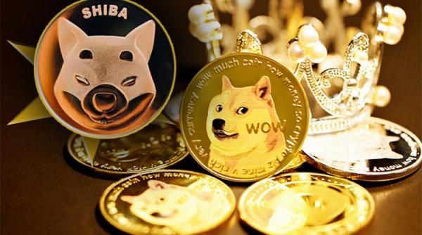Evoluție COLOSALĂ a criptomonedei Shiba Inu. Miliardari cu numai 1.000 € investiți