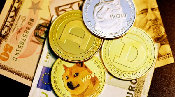 Câinii iau cu asalt piața criptomonedelor. Evoluții spectaculoase în 2021