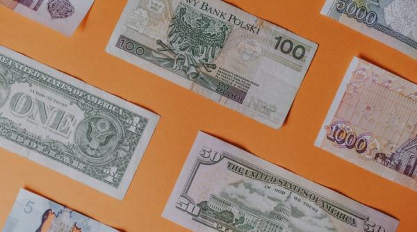 Valutele din Europa Centrală, în declin accentuat