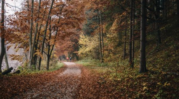 Meteo. Cum va fi vremea în minivacanța de 1 Decembrie