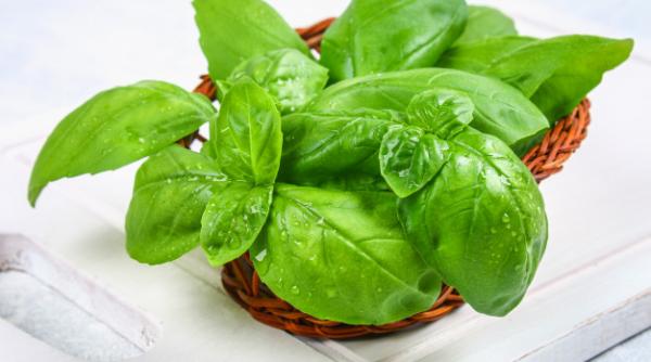 Obiceiuri și tradiții de Sf. Andrei. Ce trebuie să faci ca să-ți meargă bine