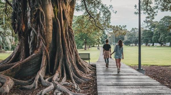 OMICRON. Primul caz cu transmitere locală din Australia 