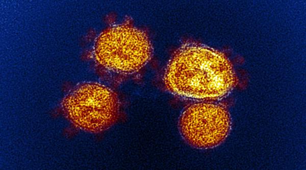 Expertul care descoperit Omicron, îngrijorat de rapiditatea mutațiilor