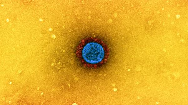 OMICRON. Simptomul de noapte pe care îl au cei infectați