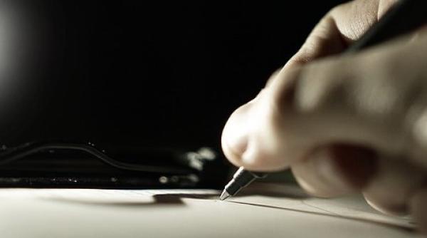 Legi promulgate: TVA de 5% pentru livrarea de lemne de foc pentru persoanele fizice