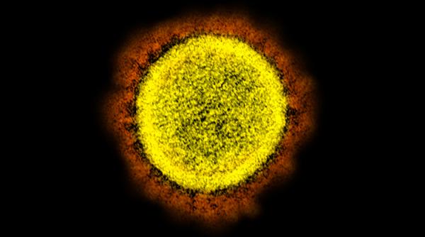 Omicron, încoronat REGELE mutațiilor. Concluziile primului studiu