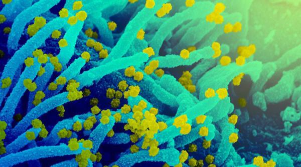 Omicron ne trimite înapoi la începutul pandemiei? Ce spun experții