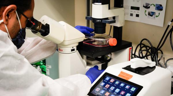 Date oficiale: Riscul de internare este cu până la 70% mai mic la TULPINA Omicron